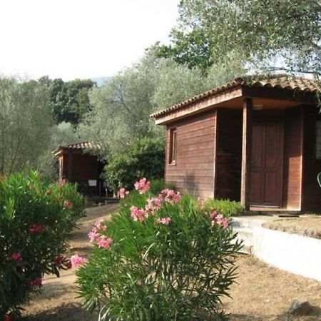 Gites Chalets De Grosseto-Prugna Extérieur photo