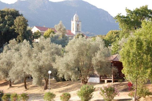 Gites Chalets De Grosseto-Prugna Extérieur photo