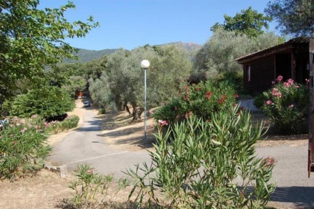 Gites Chalets De Grosseto-Prugna Extérieur photo